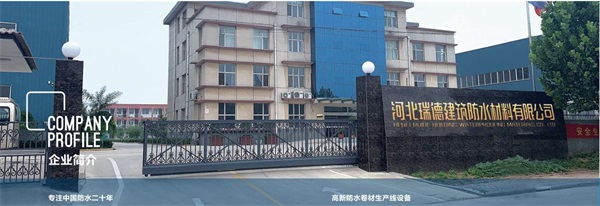 1666755369131761.jpg 004.jpg